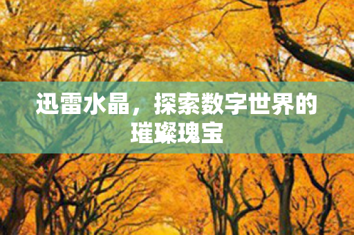 迅雷水晶，探索数字世界的璀璨瑰宝