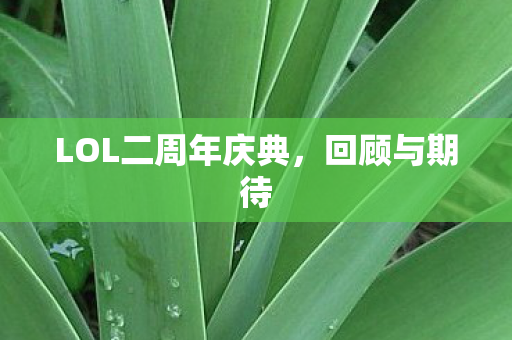 LOL二周年庆典,回顾与期待 LOL二周年庆典,回顾与期待