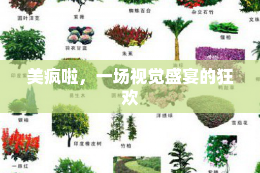 美疯啦，一场视觉盛宴的狂欢