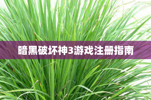 暗黑破坏神3游戏注册指南
