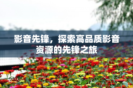 影音先锋，探索高品质影音资源的先锋之旅