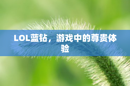 LOL蓝钻，游戏中的尊贵体验