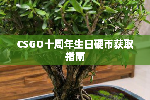 CSGO十周年生日硬币获取指南