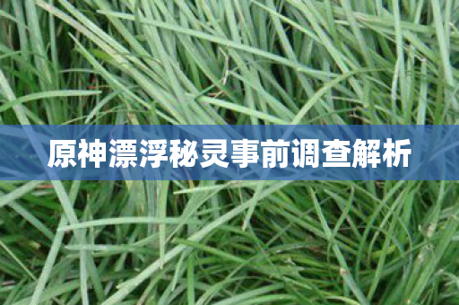 原神漂浮秘灵事前调查解析