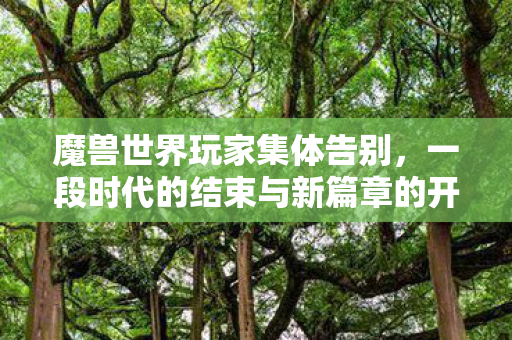 魔兽世界玩家集体告别,一段时代的结束与新篇章的开启 魔兽世界玩家集体告别,一段时代的结束与新篇章的开启