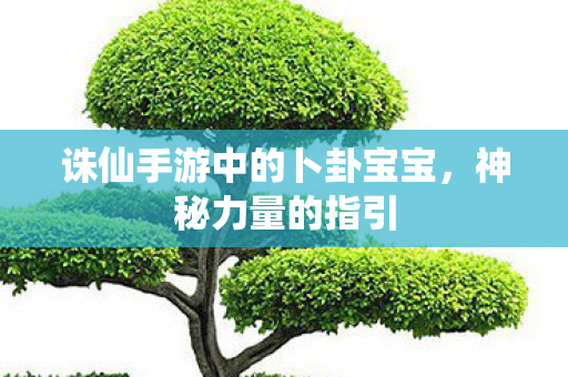 诛仙手游中的卜卦宝宝，神秘力量的指引