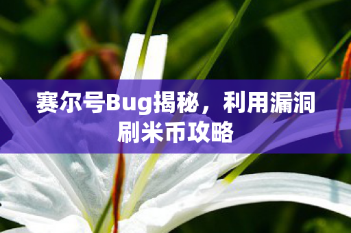 赛尔号Bug揭秘，利用漏洞刷米币攻略