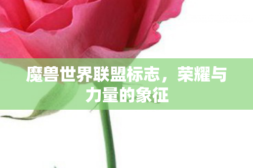 魔兽世界联盟标志,荣耀与力量的象征 魔兽世界联盟标志,荣耀与力量的象征