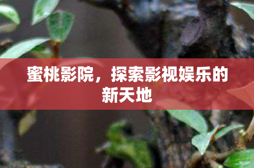 蜜桃影院，探索影视娱乐的新天地