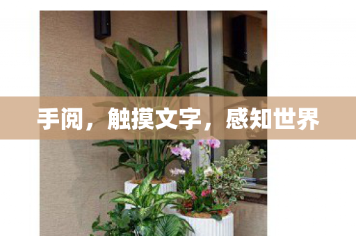 手阅，触摸文字，感知世界