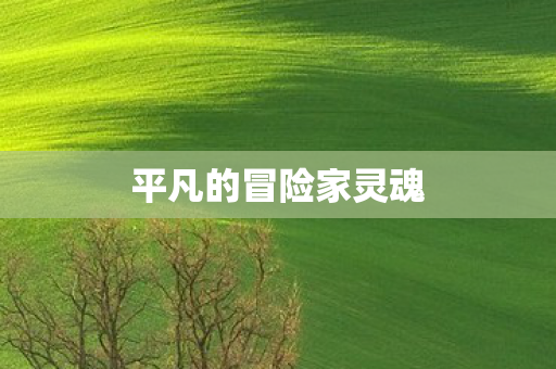 平凡的冒险家灵魂