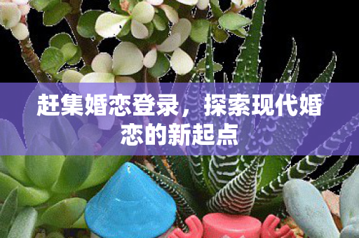 赶集婚恋登录，探索现代婚恋的新起点