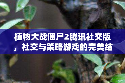 植物大战僵尸2腾讯社交版,社交与策略游戏的完美结合 植物大战僵尸2腾讯社交版,社交与策略游戏的完美结合