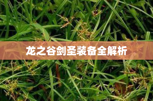 龙之谷剑圣装备全解析