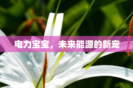电力宝宝，未来能源的新宠