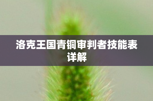 洛克王国青铜审判者技能表详解 洛克王国青铜审判者技能表详解