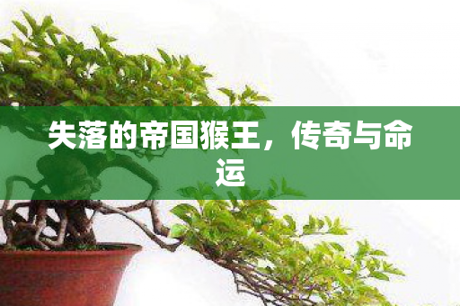 失落的帝国猴王,传奇与命运 失落的帝国猴王,传奇与命运