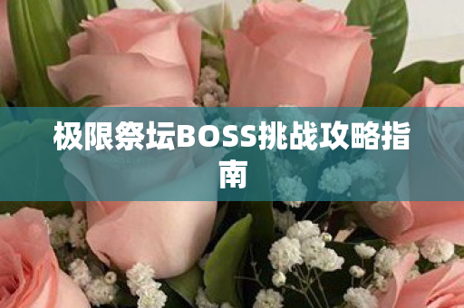 极限祭坛BOSS挑战攻略指南 极限祭坛BOSS挑战攻略指南