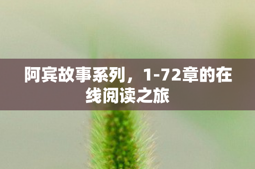阿宾故事系列,1-72章的在线阅读之旅 阿宾故事系列,1-72章的在线阅读之旅