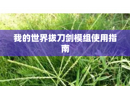 我的世界拔刀剑模组使用指南