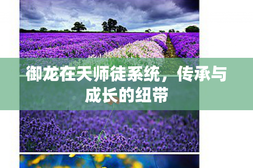 御龙在天师徒系统，传承与成长的纽带