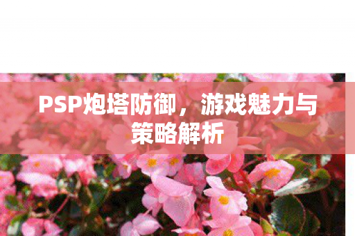 PSP炮塔防御，游戏魅力与策略解析