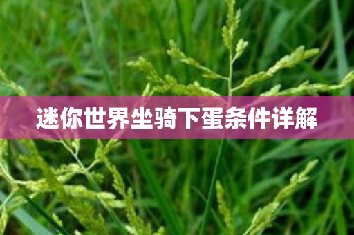 迷你世界坐骑下蛋条件详解