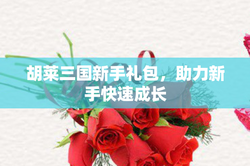 胡莱三国新手礼包，助力新手快速成长