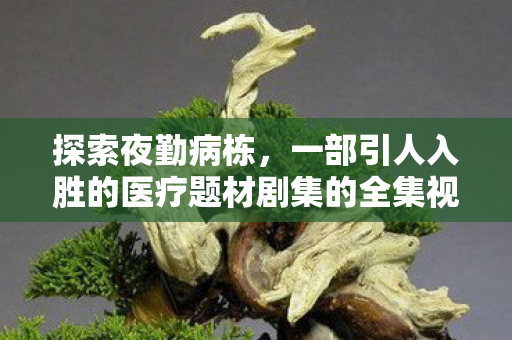 探索夜勤病栋，一部引人入胜的医疗题材剧集的全集视频与百度影音体验