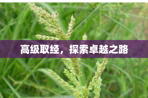 高级取经，探索卓越之路