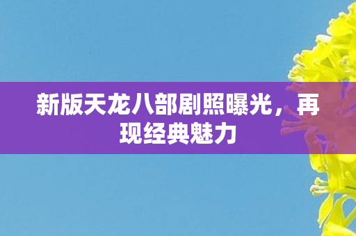 新版天龙八部剧照曝光，再现经典魅力