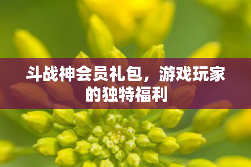 斗战神会员礼包,游戏玩家的独特福利 斗战神会员礼包,游戏玩家的独特福利