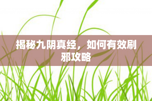 揭秘九阴真经，如何有效刷邪攻略