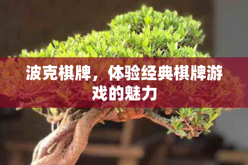 波克棋牌，体验经典棋牌游戏的魅力