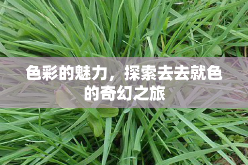 色彩的魅力，探索去去就色的奇幻之旅