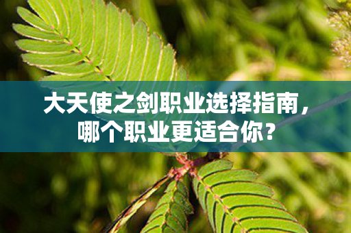 大天使之剑职业选择指南,哪个职业更适合你? 大天使之剑职业选择指南,哪个职业更适合你?