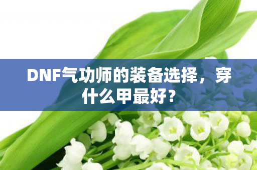 DNF气功师的装备选择,穿什么甲最好? DNF气功师的装备选择,穿什么甲最好?
