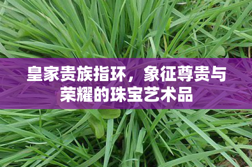 皇家贵族指环,象征尊贵与荣耀的珠宝艺术品 皇家贵族指环,象征尊贵与荣耀的珠宝艺术品