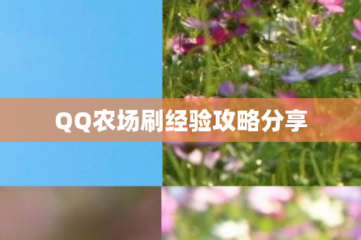 QQ农场刷经验攻略分享 QQ农场刷经验攻略分享