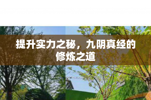 提升实力之秘,九阴真经的修炼之道 提升实力之秘,九阴真经的修炼之道
