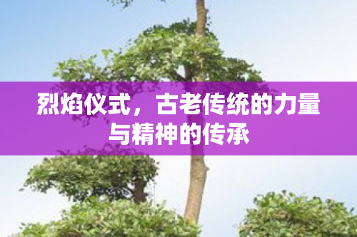 烈焰仪式，古老传统的力量与精神的传承