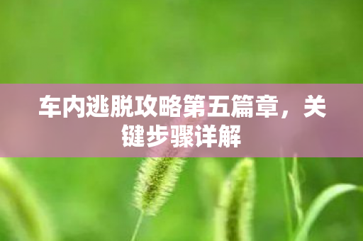 车内逃脱攻略第五篇章,关键步骤详解 车内逃脱攻略第五篇章,关键步骤详解