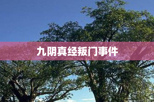 九阴真经叛门事件 九阴真经叛门事件