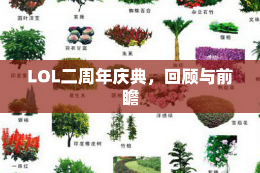 LOL二周年庆典,回顾与前瞻 LOL二周年庆典,回顾与前瞻