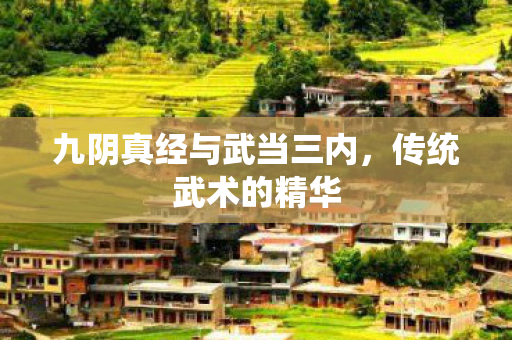 九阴真经与武当三内，传统武术的精华