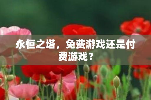 永恒之塔，免费游戏还是付费游戏？
