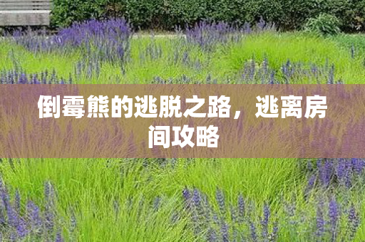 倒霉熊的逃脱之路,逃离房间攻略 倒霉熊的逃脱之路,逃离房间攻略