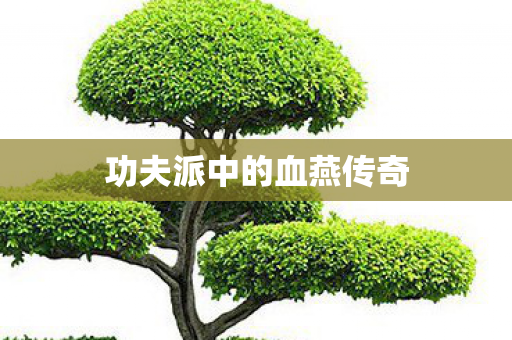 功夫派中的血燕传奇