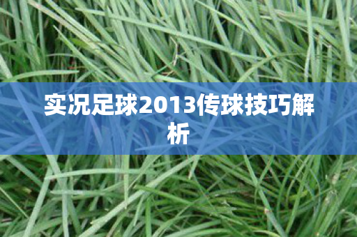 实况足球2013传球技巧解析