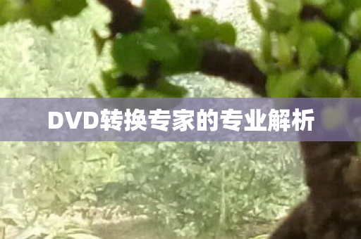 DVD转换专家的专业解析 DVD转换专家的专业解析